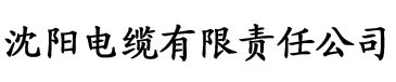 姐妹齐上阵电缆厂logo